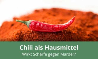 Chili gegen Marder