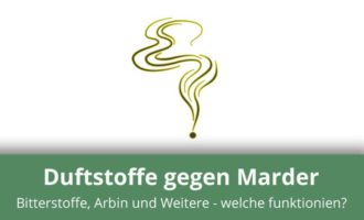 Düfte gegen Marder