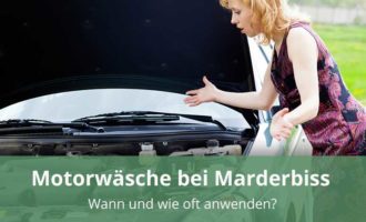 Motorwäsche bei Marderbiss