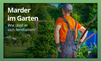 Ultraschallabwehr für Garten & Dachboden - 360° Wirkung –