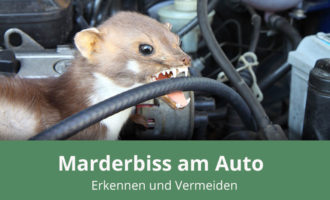 Marderbiss am Auto