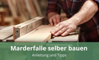 eine Marderfalle selbst bauen