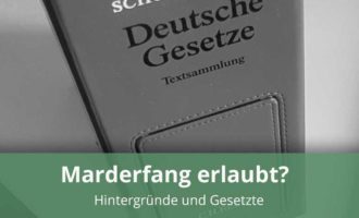 Marderfang erlaubt