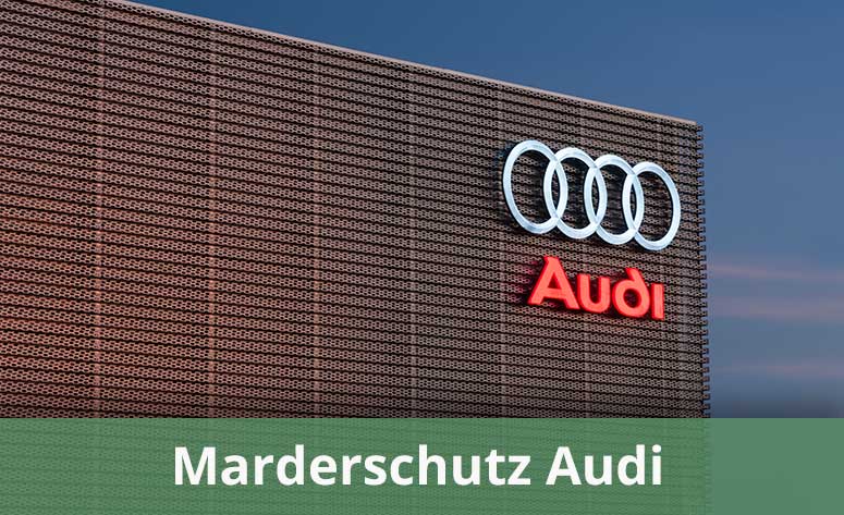 Marderschutz Audi: Welche Abwehr bietet Audi? » Infos & Alternativen