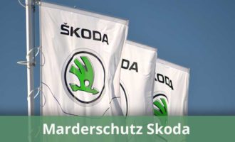 Marderschutz für Skoda