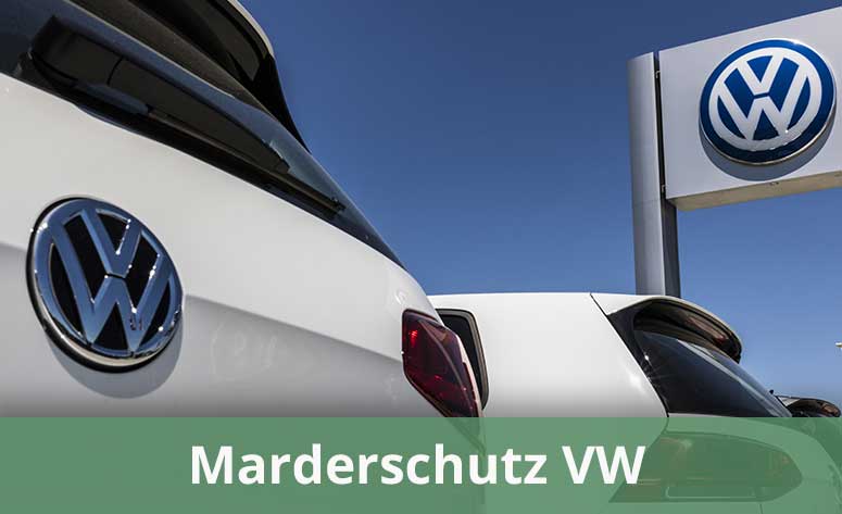 Marderschutz VW: Was bietet Volkswagen an? » Infos & Alternativen