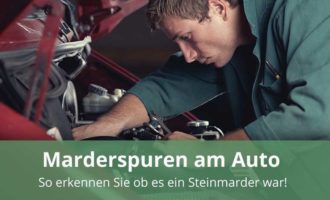 Marderspuren am Auto