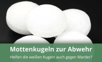 Mottenkugeln als Marderabwehr