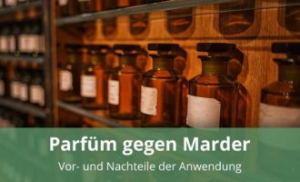 Parfüm als Marderschutz