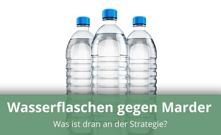 Wasserflaschen