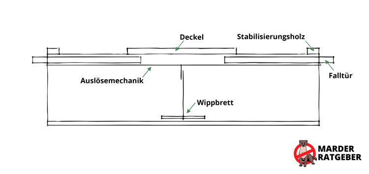 Marderfalle selber bauen » Anleitung, Tipps und Alternativen