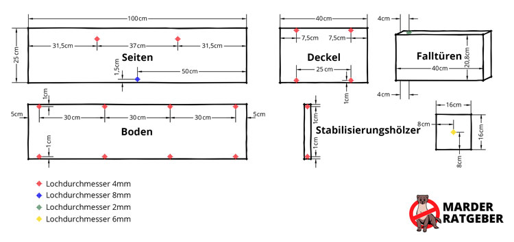 Marderfalle selber bauen » Anleitung, Tipps und Alternativen