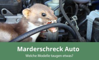 Marderschreck für das Auto