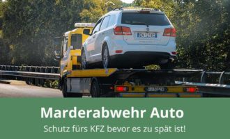 Marderschutz für das Auto