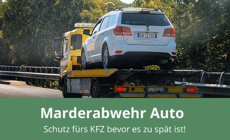 Marderabwehrprodukte für Ihr Auto