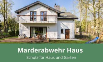 Ultraschall-Tierabwehr Marder-Frei Marderschreck- für Dachboden, KFZ, Haus,  Auto, Garten, Garage, Carport, Dachboden - Marderabwehr Marderschutz mit